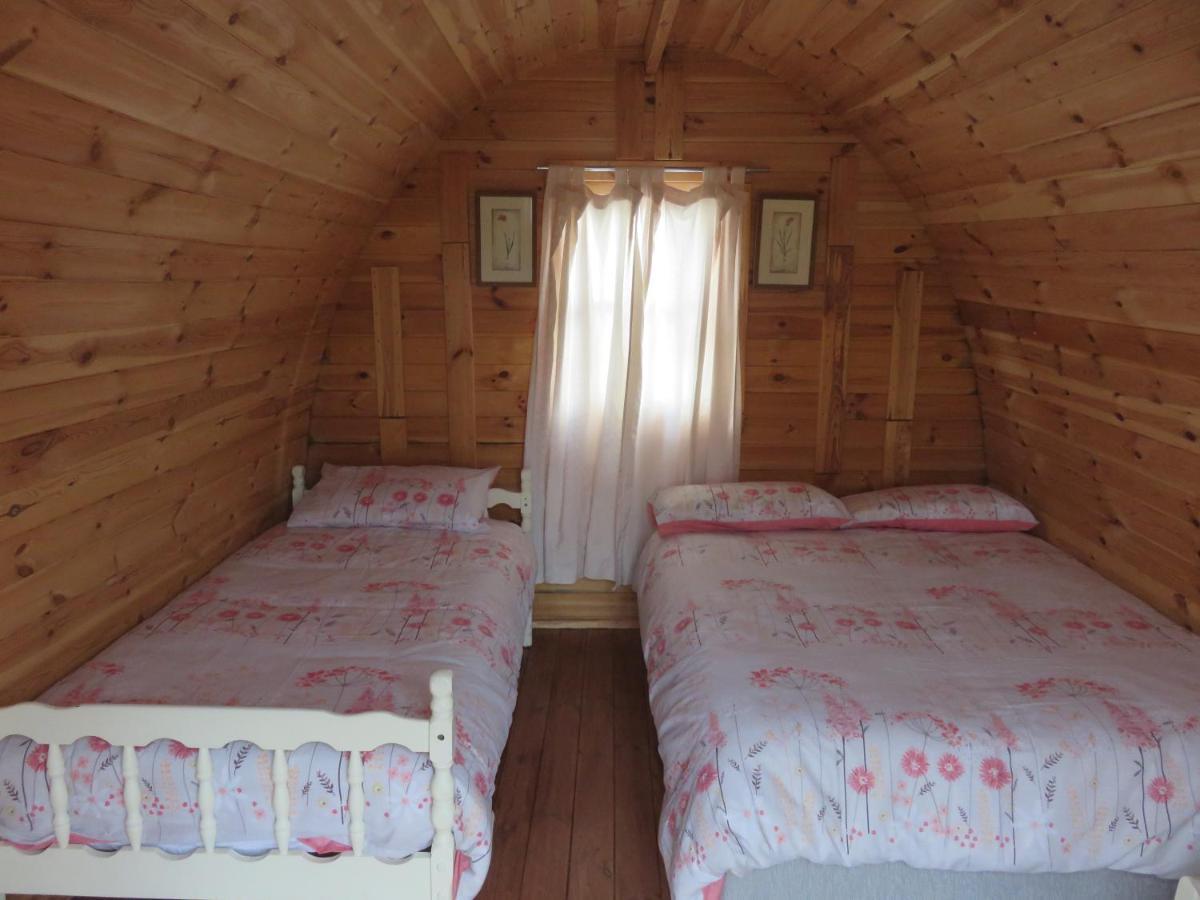 Camping Shannon Estuary Glamping