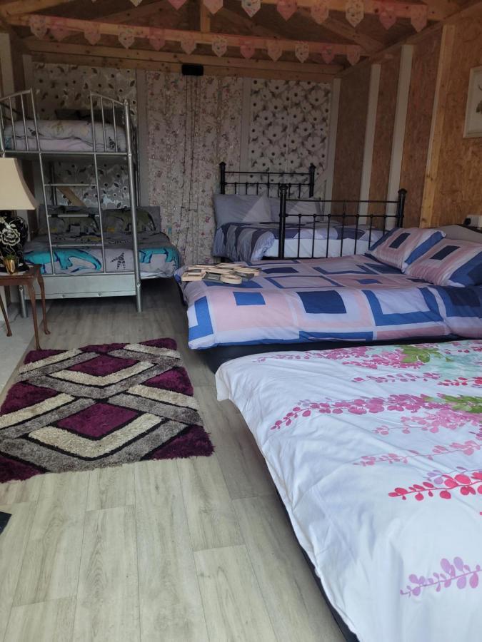 Campsite Shannon Estuary Glamping
