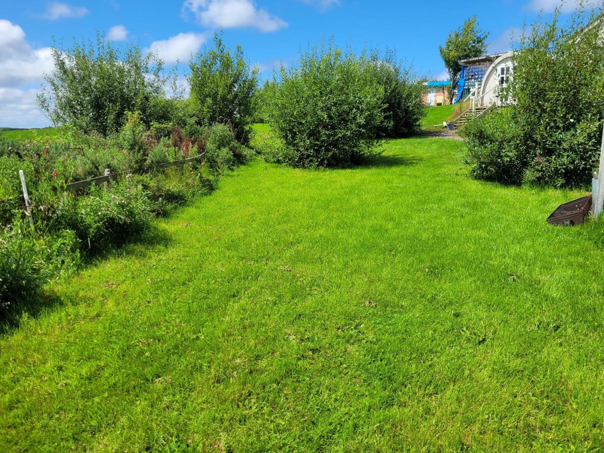 Campsite Shannon Estuary Glamping *