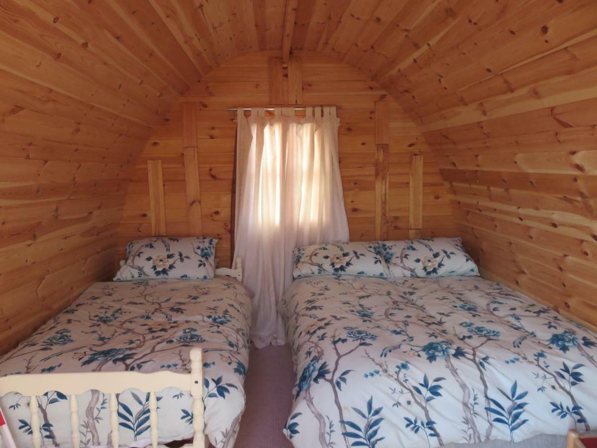Campsite Shannon Estuary Glamping *
