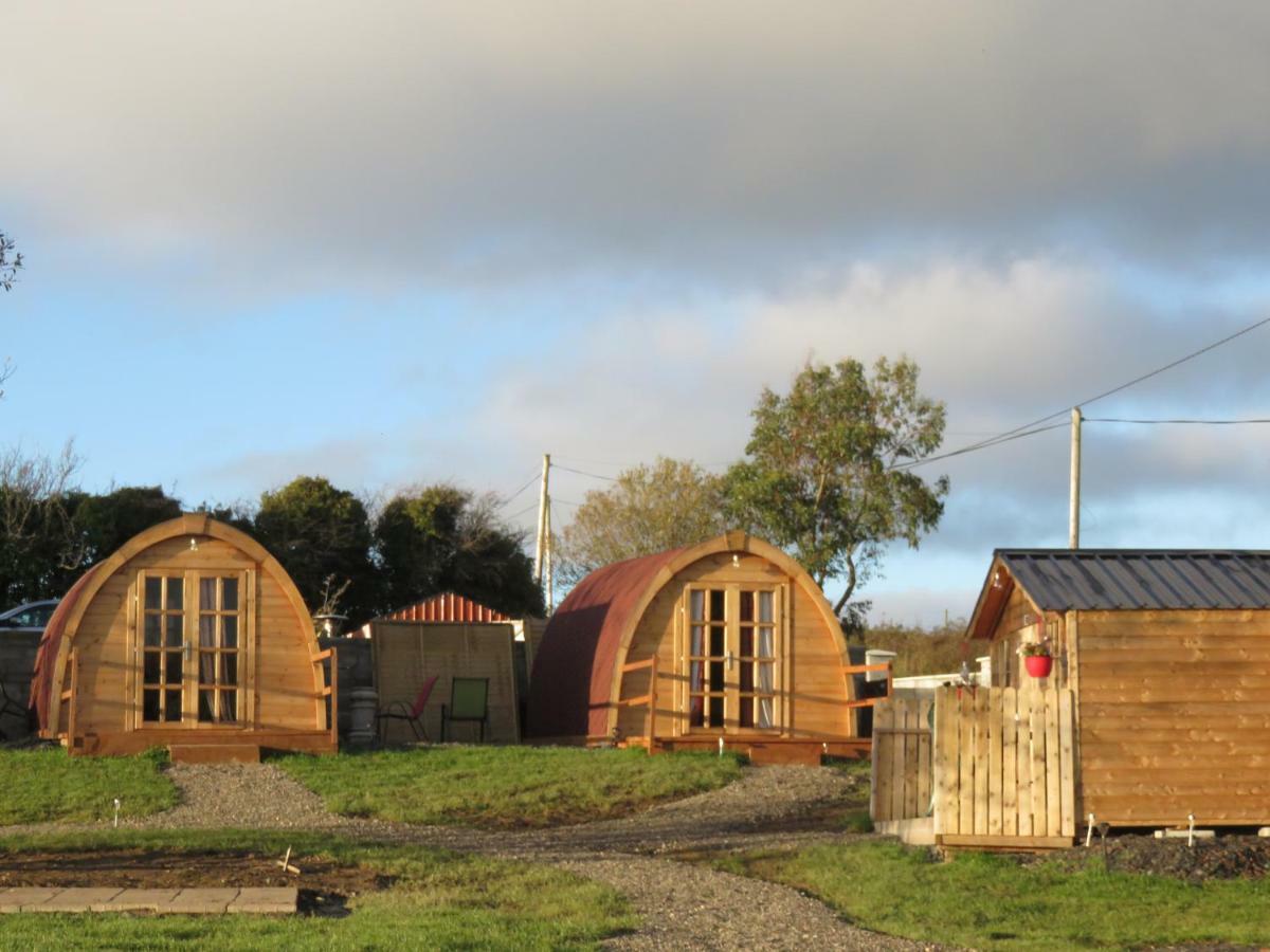 Camping Shannon Estuary Glamping
