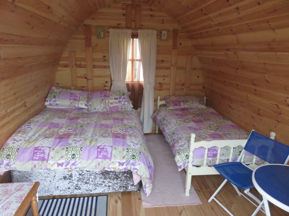 Campsite Shannon Estuary Glamping *